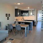 Rent 3 bedroom apartment of 90 m² in The Hague