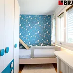 Rent 3 bedroom apartment of 55 m² in Brno