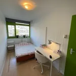 Rent 1 bedroom house of 9 m² in Arnhem