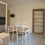 Rent 2 bedroom apartment of 100 m² in Turin