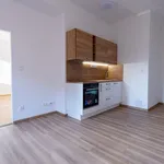 Pronajměte si 1 ložnic/e byt o rozloze 48 m² v Prague