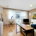 Rent 1 bedroom apartment in Prague