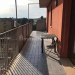 Rent 2 bedroom apartment of 60 m² in Cremona