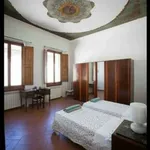 Rent 3 bedroom apartment of 65 m² in Florence