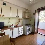 Rent 4 bedroom apartment of 95 m² in Roma