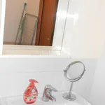 Rent 1 bedroom apartment of 35 m² in Pavia