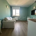 Rent 1 bedroom apartment of 30 m² in Milano