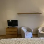 Rent 1 bedroom apartment in milan