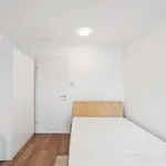 Zimmer von 40 m² in Graz