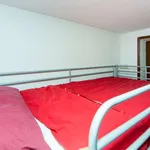 Rent a room of 150 m² in madrid