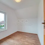 Rent 1 bedroom house of 87 m² in Rokycany