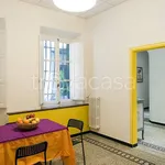 Rent 4 bedroom apartment of 120 m² in Firenze