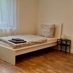 Rent 1 bedroom apartment of 45 m² in Kaiserslautern