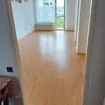 Rent 6 bedroom apartment in Praha 6