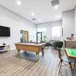 Rent 1 bedroom apartment in Sheffield