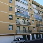 Rent 3 bedroom apartment of 80 m² in Brindisi