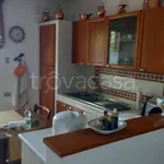 Rent 2 bedroom apartment of 82 m² in Siena