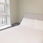 Rent 1 bedroom apartment in dublin