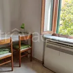 Rent 1 bedroom apartment of 20 m² in Carrara