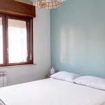 Rent 1 bedroom apartment in Rome