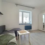 Rent 1 bedroom apartment of 20 m² in Bytom