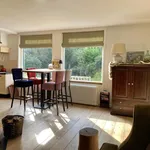 Rent 1 bedroom house of 110 m² in Oosterhout