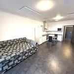 Rent 1 bedroom apartment in Třebíč