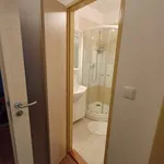 Rent 1 bedroom apartment in Železná Ruda