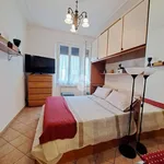 Rent 4 bedroom apartment of 80 m² in Roma