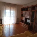 Rent 3 bedroom apartment of 70 m² in Follonica