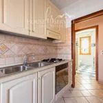 Rent 1 bedroom apartment of 24 m² in Rome