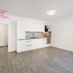 Rent 2 bedroom apartment of 54 m² in Brno