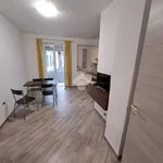 Rent 3 bedroom apartment of 75 m² in Ciriè