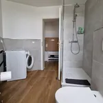 Rent 3 bedroom apartment of 60 m² in Leipzig