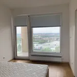 Pronajměte si 3 ložnic/e byt o rozloze 69 m² v Prague