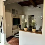 Rent 1 bedroom apartment of 60 m² in florence