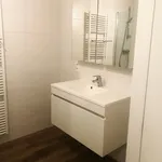 Rent 1 bedroom apartment in Antwerp