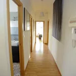 Rent 5 bedroom apartment in Valencia