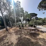 Rent 5 bedroom house of 320 m² in Messina