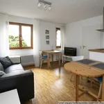 Rent 1 bedroom apartment of 32 m² in Umkirch