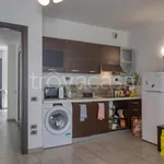 Rent 2 bedroom apartment of 58 m² in Milano