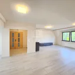 Rent 4 bedroom apartment of 122 m² in Budapest