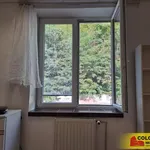 Rent 1 bedroom apartment in Blansko