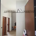 Rent 1 bedroom house of 20 m² in Cesena