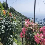 2-room flat Località Casale 44, Moneglia