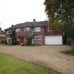 Rent 5 bedroom house in Woking