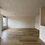 Huur 3 slaapkamer appartement van 65 m² in Eindhoven