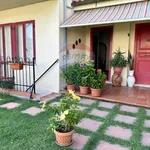 Rent 7 bedroom house of 100 m² in Piombino