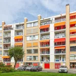 Rent 4 bedroom house of 110 m² in Den Haag