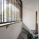 Affitto 1 camera appartamento di 42 m² in Roma